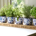 personalised indoor herb trays