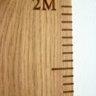 engraved-oak-height-charts-makemesomethingspecial.com