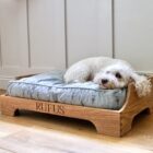 Engraved wooden dog bed